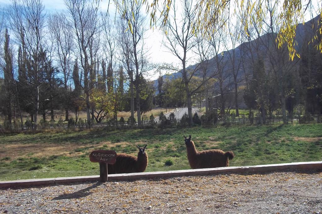 Posada Inti Tanpu Tilcara Esterno foto