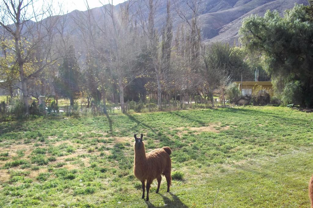 Posada Inti Tanpu Tilcara Esterno foto